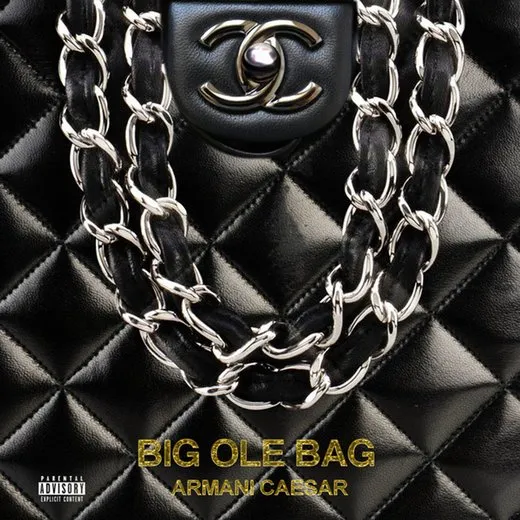 Big Ole Bag