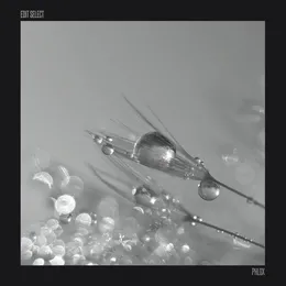 Phlox von Edit Select – Album Cover