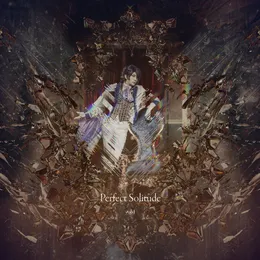 Perfect Solitude von void – Album Cover