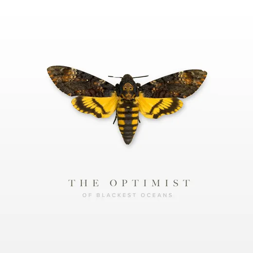 The Optimist