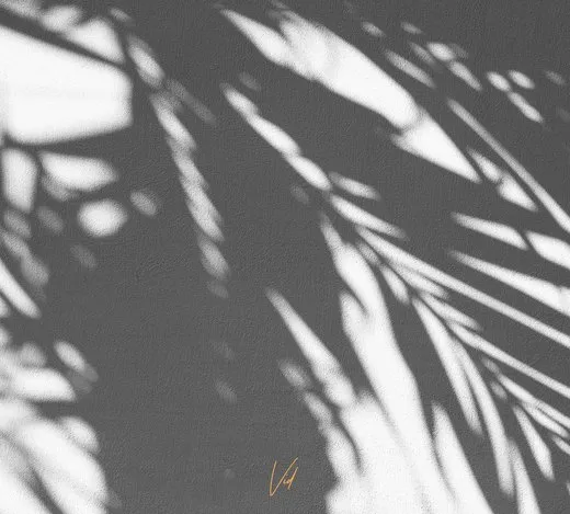 A year in a day LP