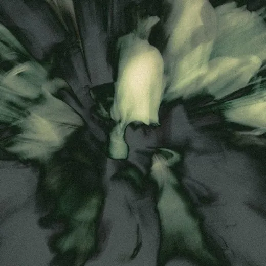 There Is No Safety in the Dark