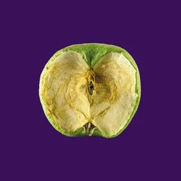 Built on Ashes (short version) von Zeal & Ardor – Album Cover