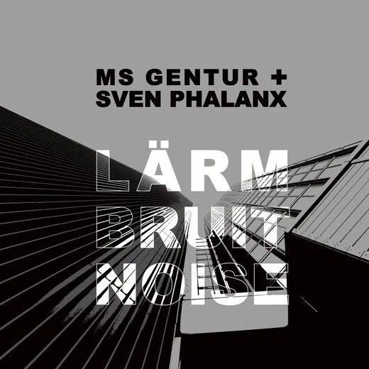 Lärm Bruit Noise