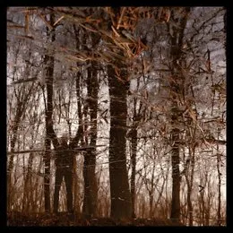 Bannwald von Apoptose – Album Cover