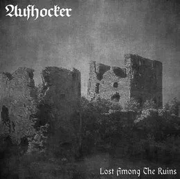 Lost Among The Ruins von Aufhocker – Album Cover