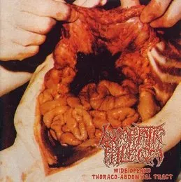 Wide Opened Thoraco-Abdominal Tract / Bathed in Hecatombic Concoctions von Lymphatic Phlegm – Album Cover
