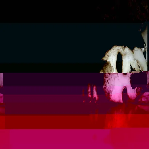 Pull Me Into the Dark