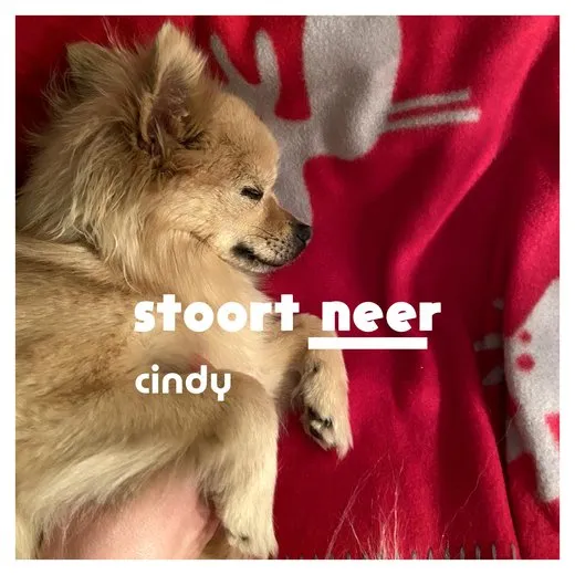 Cindy