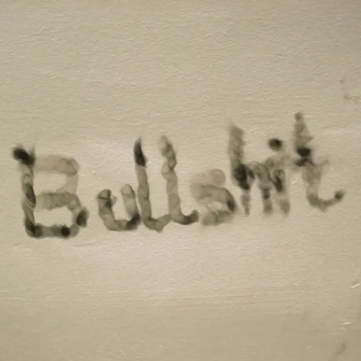Bullshit