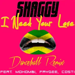 I Need Your Love (dancehall remix) von Faydee – Cover