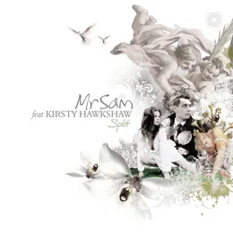 Split von Mr. Sam – Album Cover