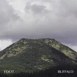 Buffalo von Foot – Album Cover