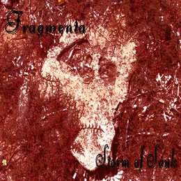 Storm of Souls von Fragmenta – Album Cover