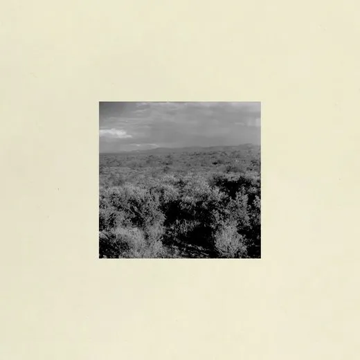 Maracutaia