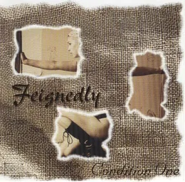 Feignedly von Condition One – Album Cover